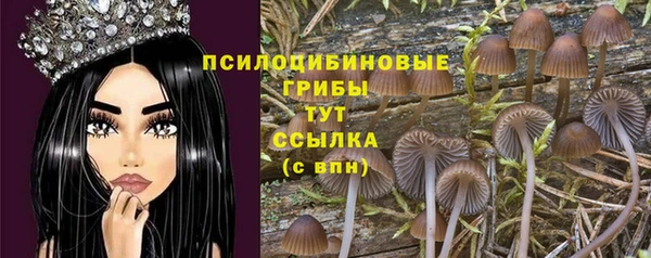 тгк Лиски