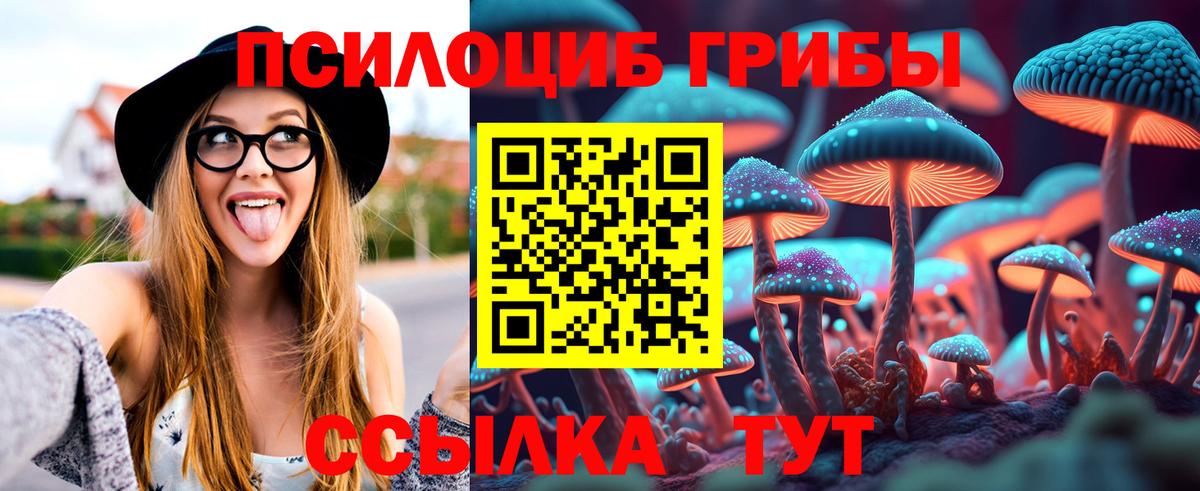 Псилоцибиновые грибы GOLDEN TEACHER  купить  цена  Шали  Вход с VPN 